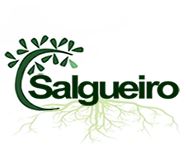 Conglomerado Salgueiro